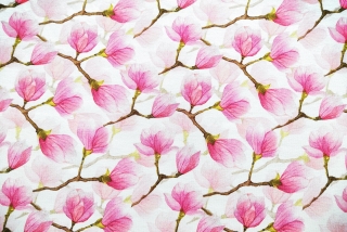 Teplákovina magnolie