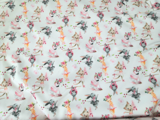 Zimní softshell baletka